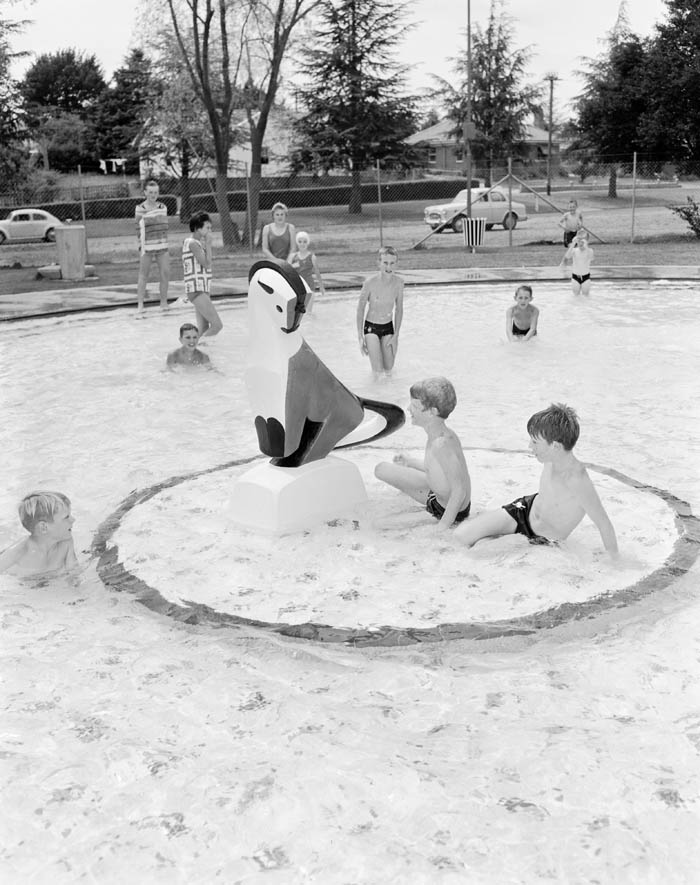 Have you ever seen a&nbsp;unicorn?!